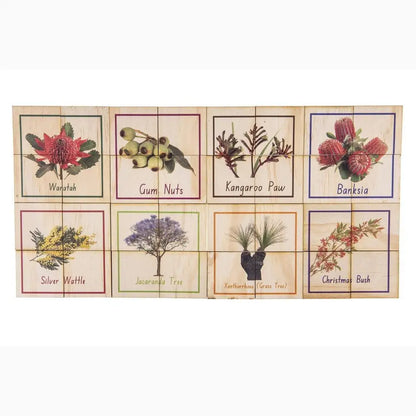 Collection of illustrated Australian native flora tiles or panels, each labeled with the plant’s common name.