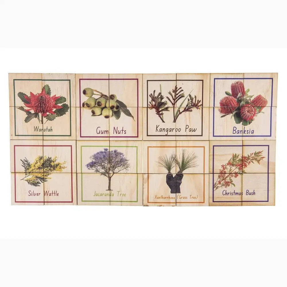 Collection of illustrated Australian native flora tiles or panels, each labeled with the plant’s common name.