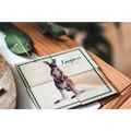 Book or card featuring a photograph of a kangaroo.