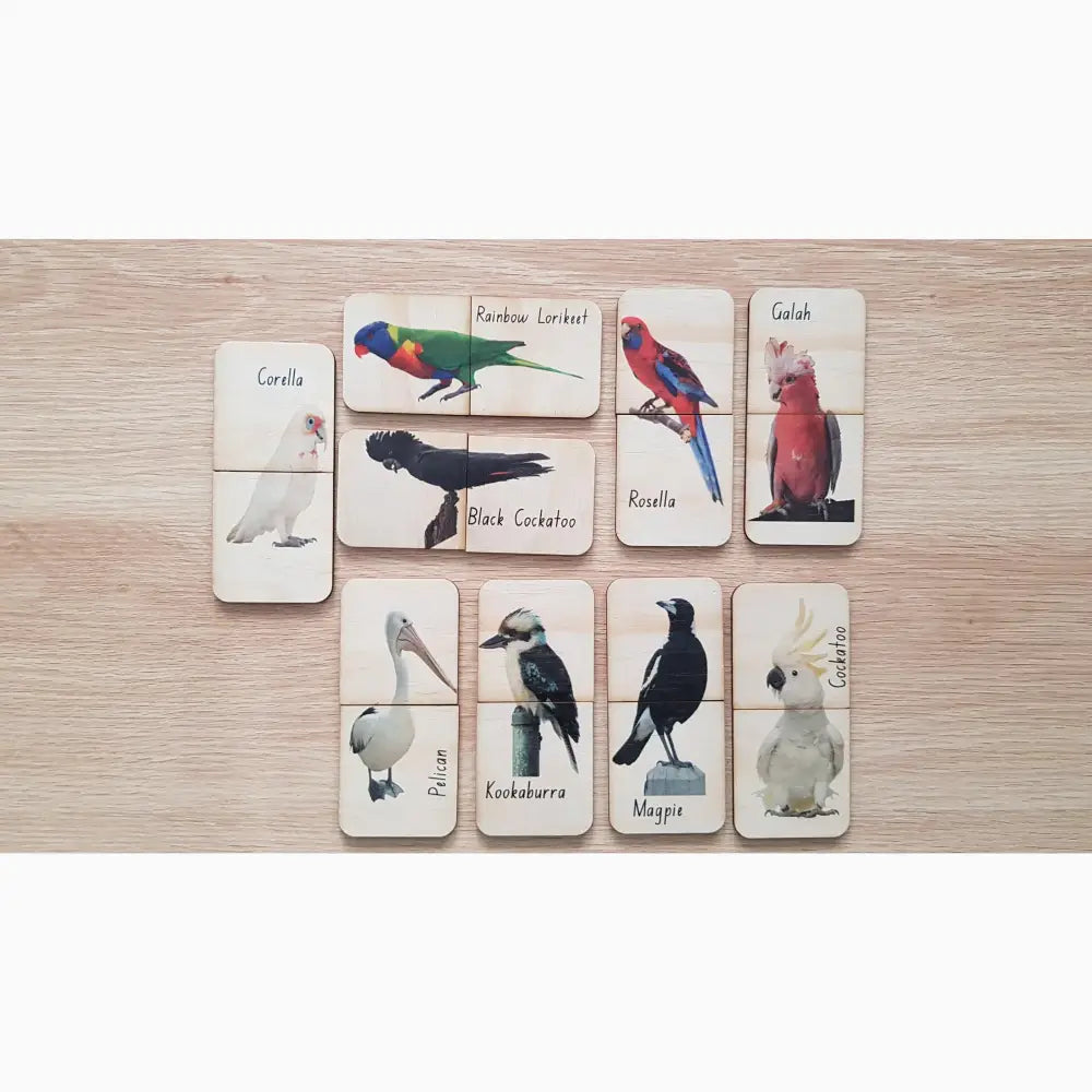 Set of illustrated bird identification cards featuring various species on a wooden surface.