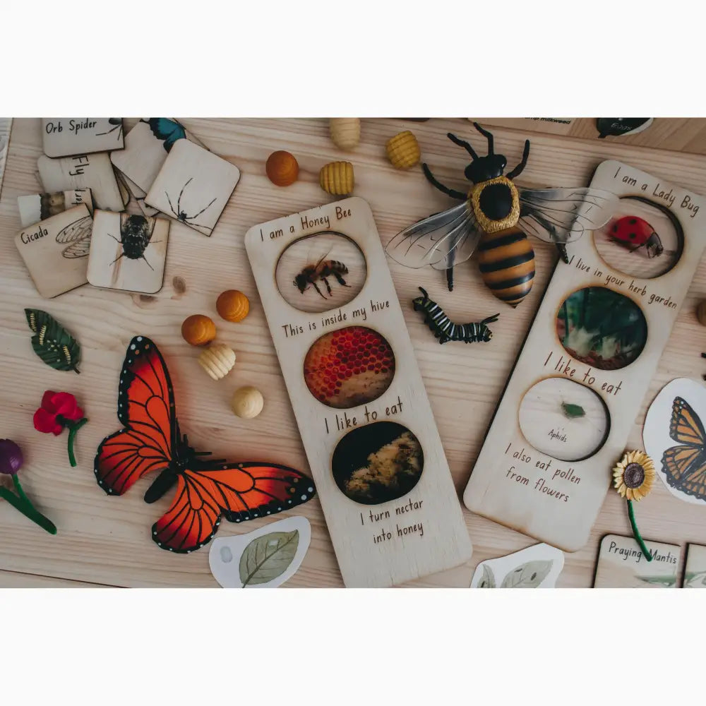 Collection of nature-themed educational cards and models featuring insects, plants, and fruits.