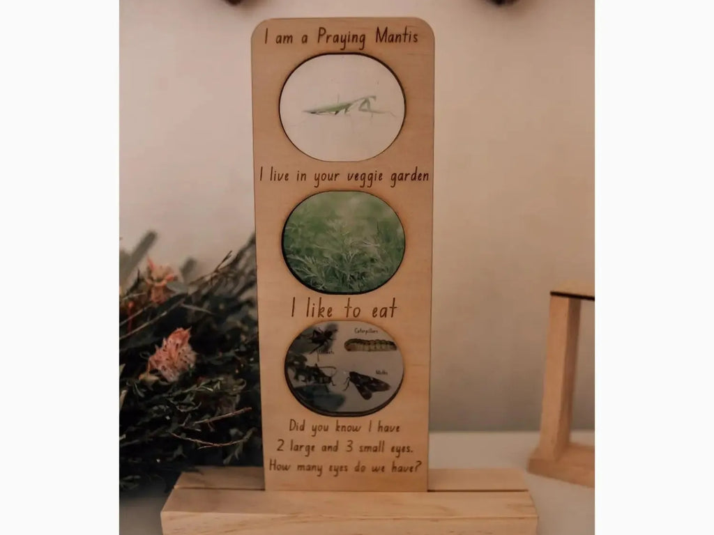 Wooden plaque with three circular illustrations and text about a praying mantis.
