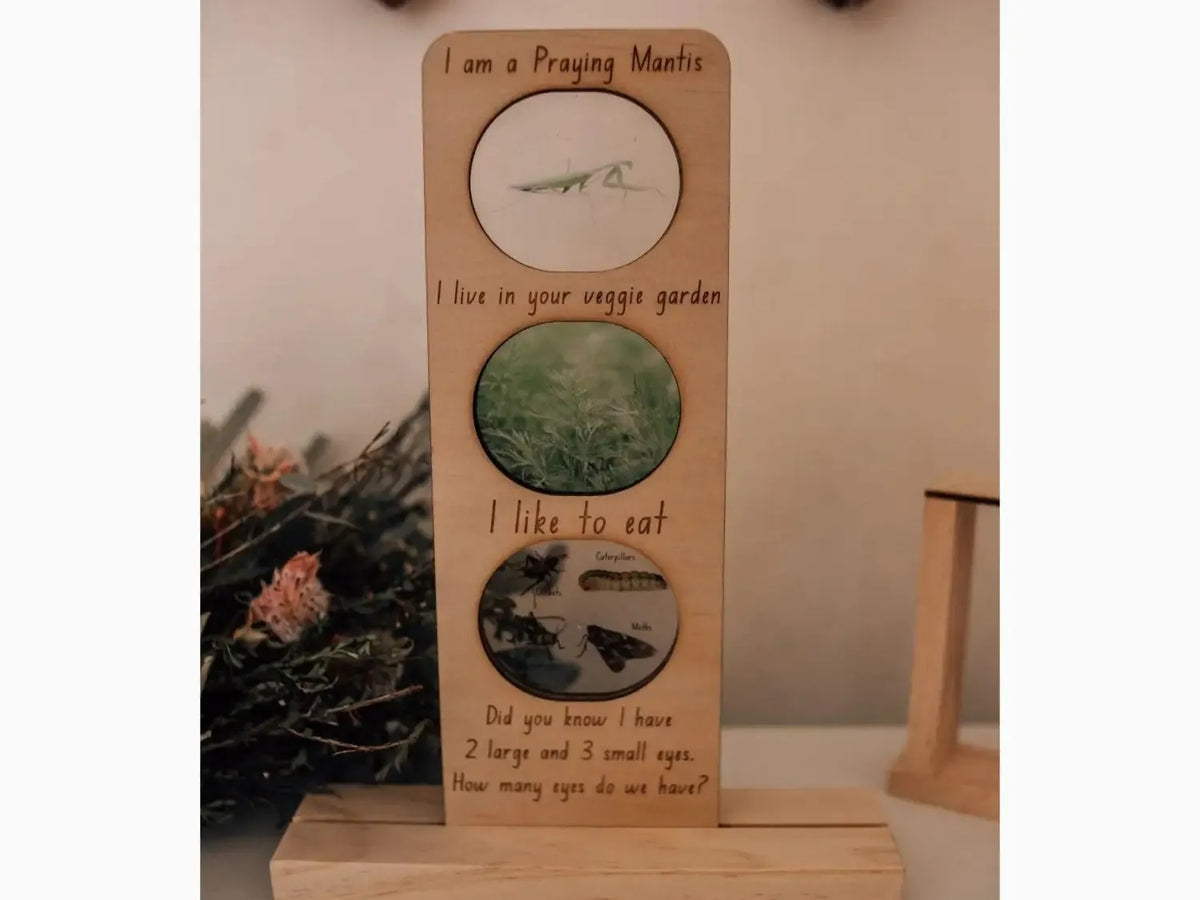 Wooden plaque with three circular illustrations and text about a praying mantis.