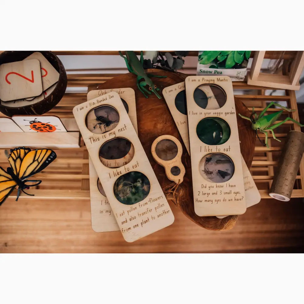 Wooden door hangers with circular cutouts displaying various natural objects and handwritten labels.