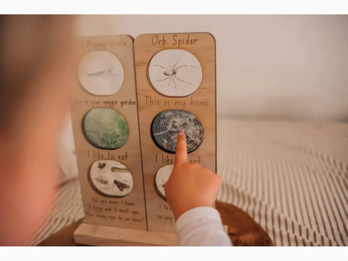 Wooden educational toy displaying different types of spiders with circular image panels.