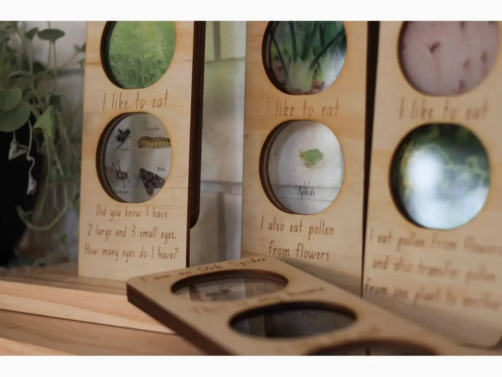 Wooden display board with circular cutouts showing plant specimens and handwritten labels.