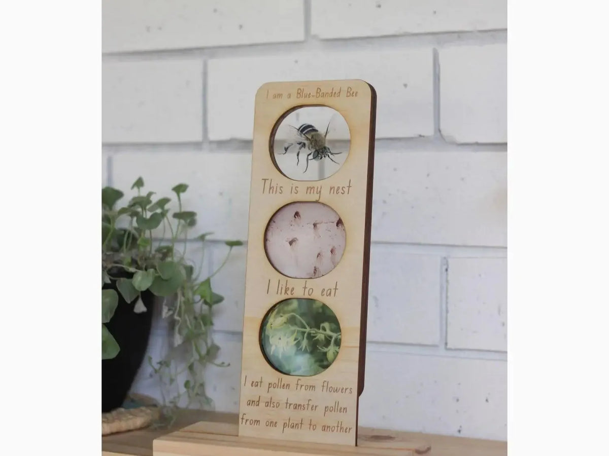 Wooden plaque with three circular inserts displaying nature-themed images and text.