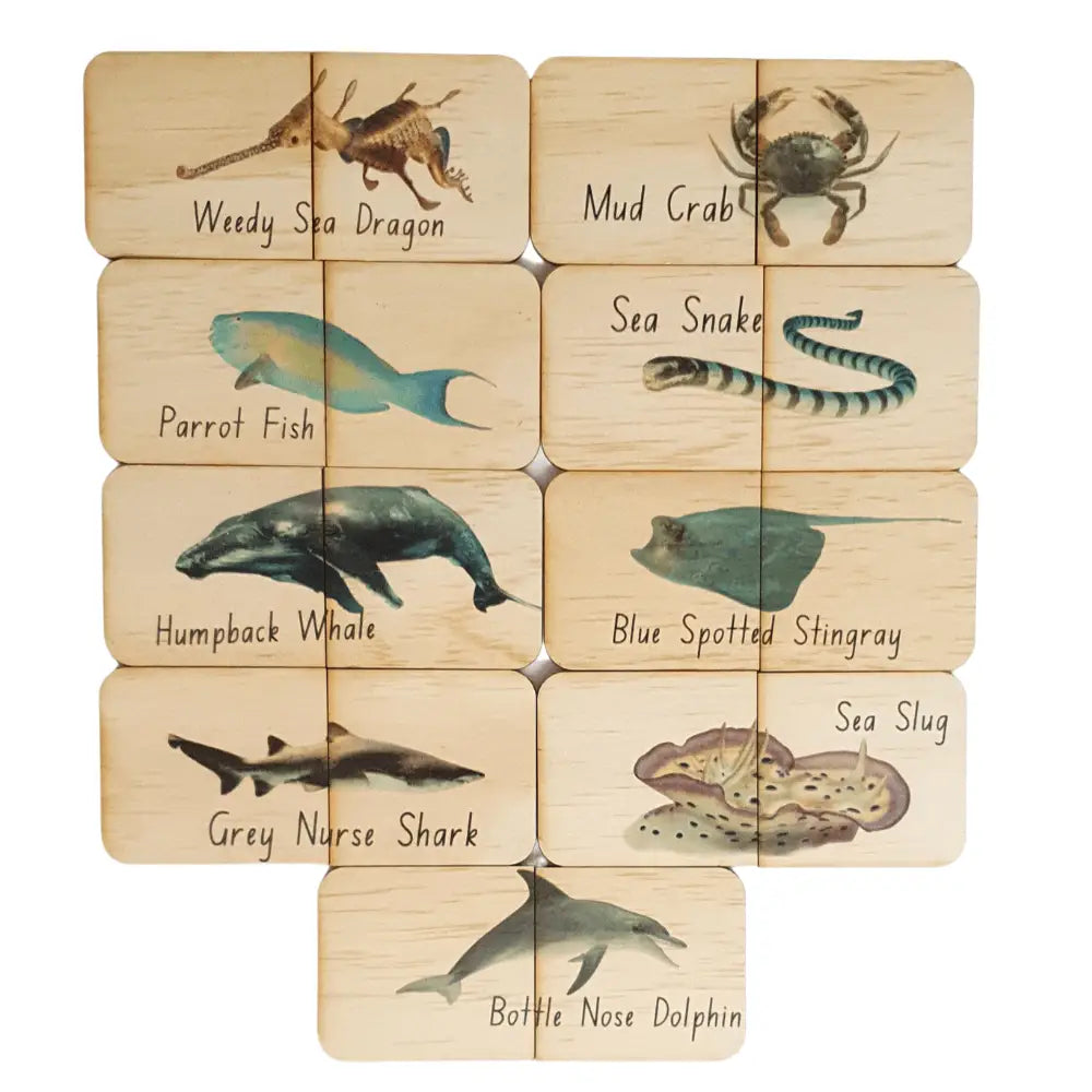 Set of wooden tiles depicting various sea creatures with their names.