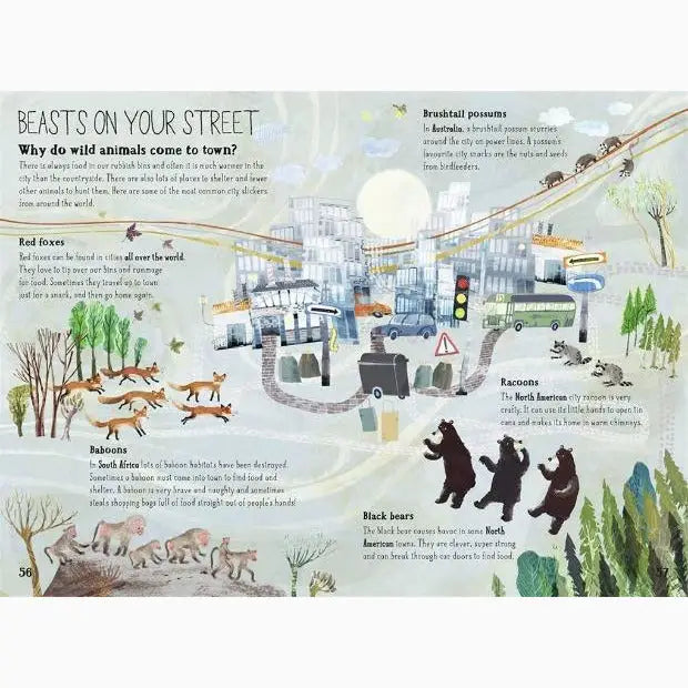 Illustrated infographic about wild animals entering urban areas, showing various species and their reasons for coming to towns.