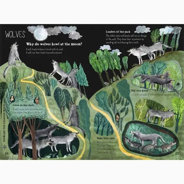 Illustrated educational spread about wolves and their behaviors in a nature-themed book or poster.