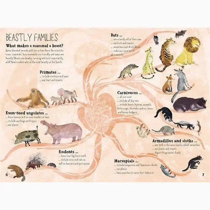 Infographic showing different mammal families and their characteristics.