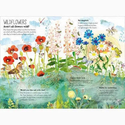Colorful illustration of various wildflowers with insects and descriptive text.
