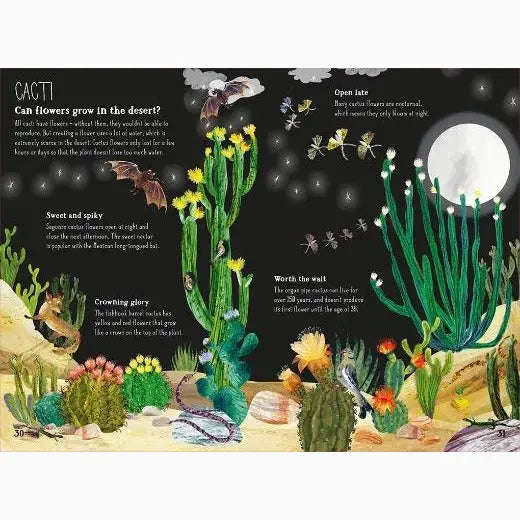 Illustrated educational page about cacti and desert life at night.