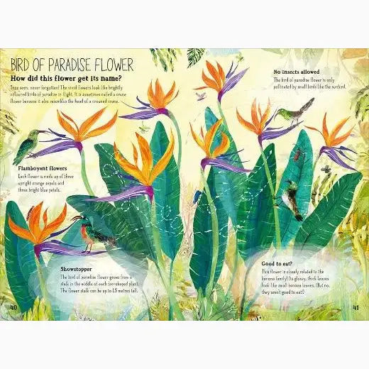 Colorful illustration of bird of paradise flowers with green leaves and orange blossoms.