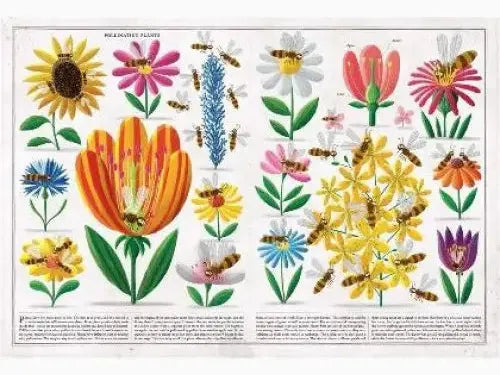 Colorful botanical illustration featuring various flowers and insects.
