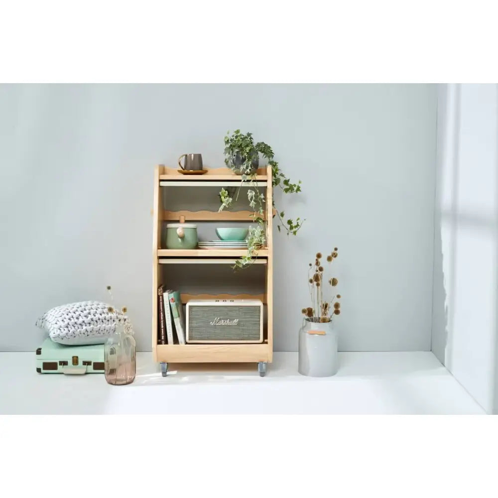 Wooden bookshelf with plants and decorative items on its shelves.