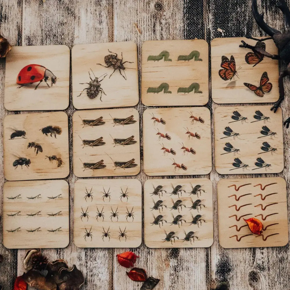 Collection of wooden tiles featuring illustrations of various insects and small creatures.