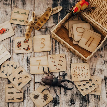 Collection of wooden educational cards and nature-themed objects for learning.