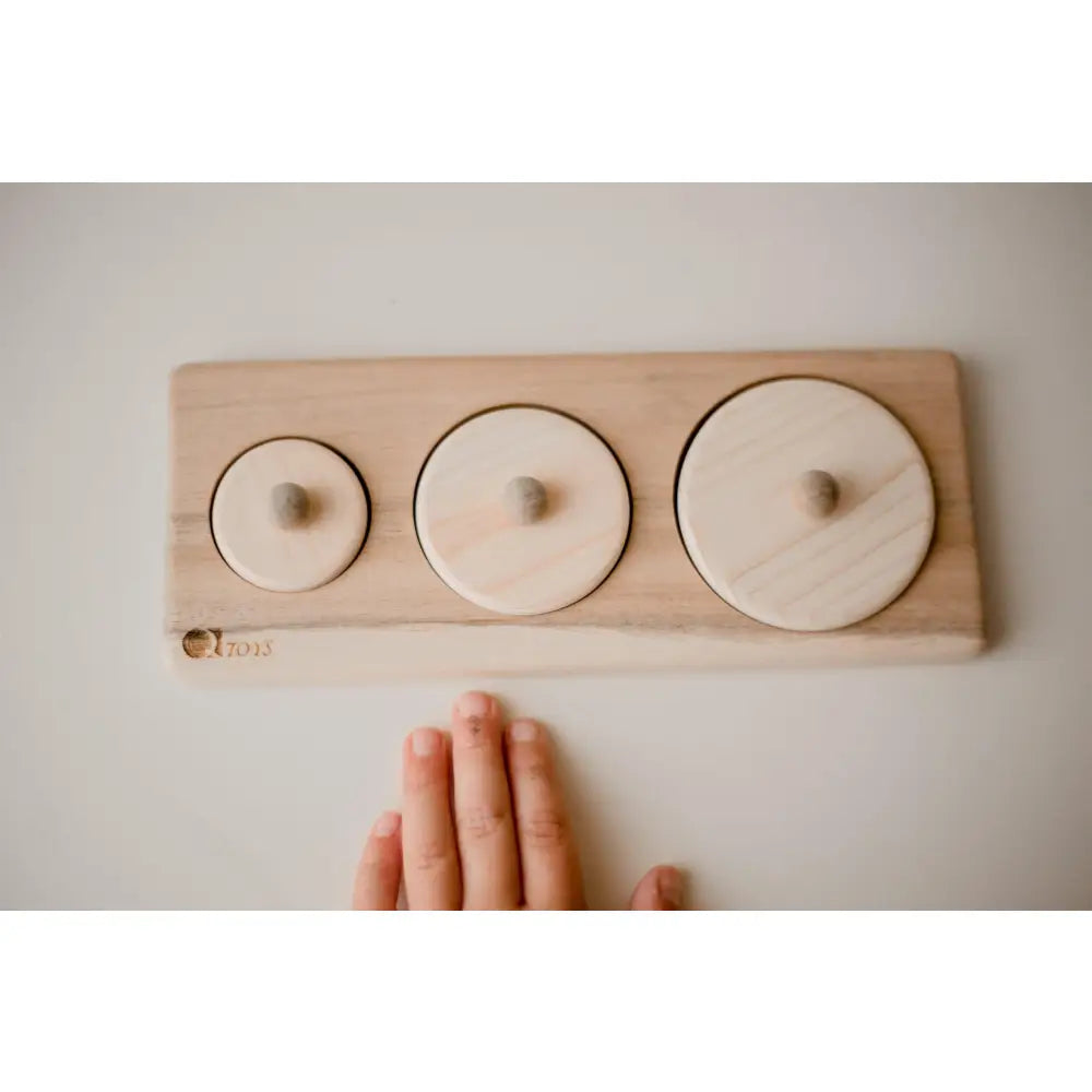 Wooden puzzle board with three circular pieces of increasing size.