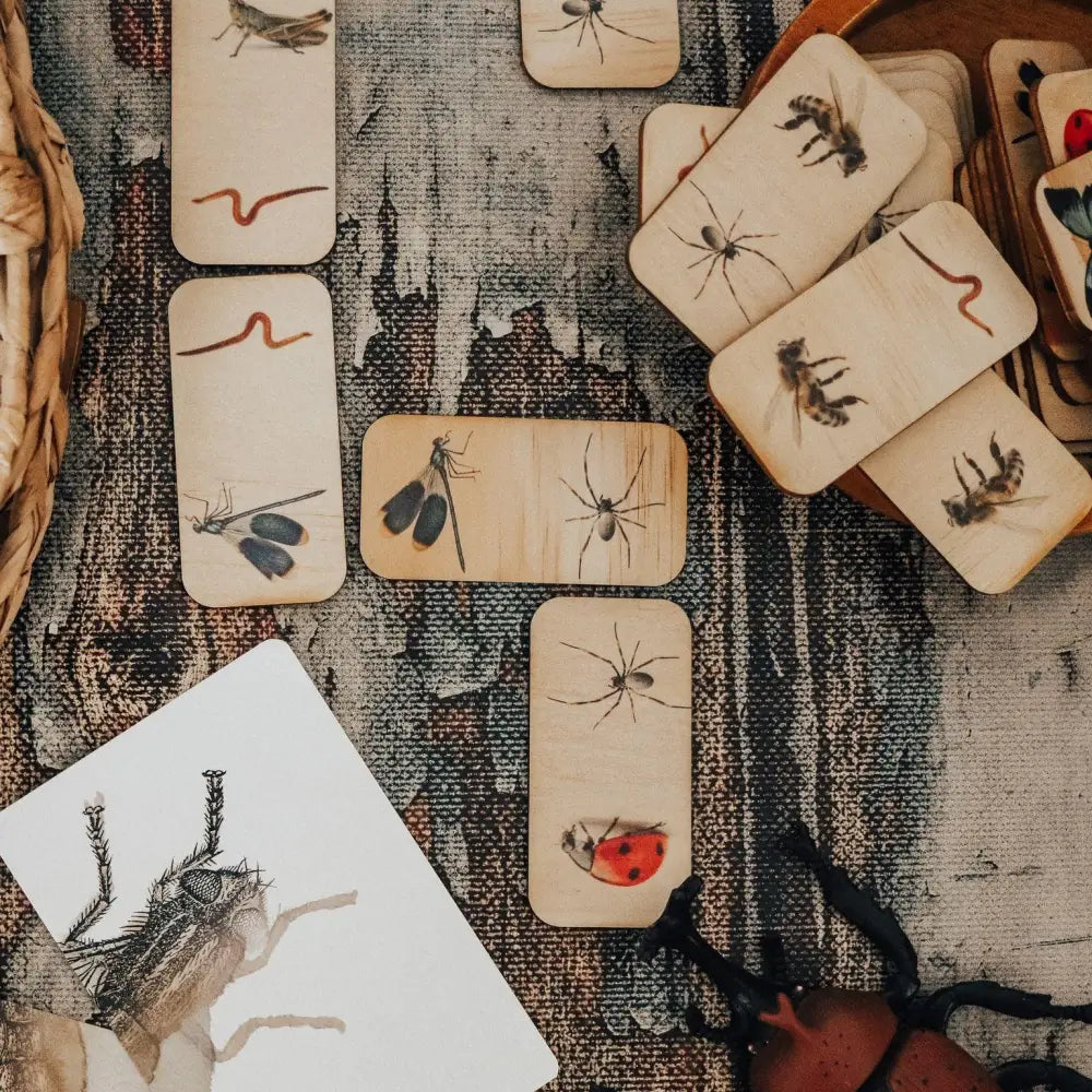 Collection of illustrated cards or tiles featuring various insects and small creatures.