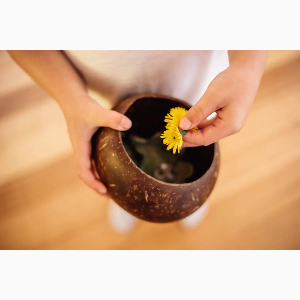 Coconut shell bowl with dandelions.