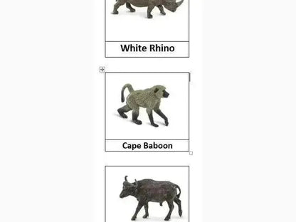 Three labeled illustrations of African animals: a white rhino, a Cape baboon, and a Cape buffalo.