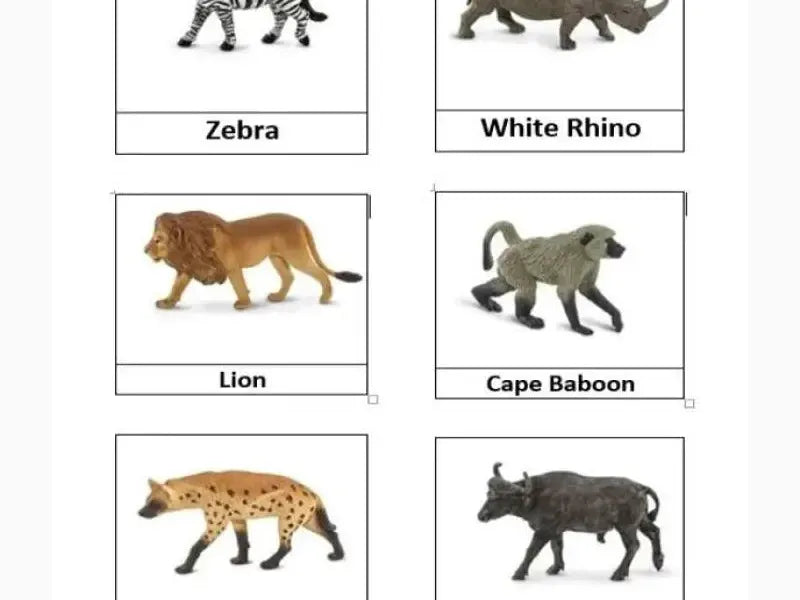 Collection of six African animal figurines with labels identifying each species.