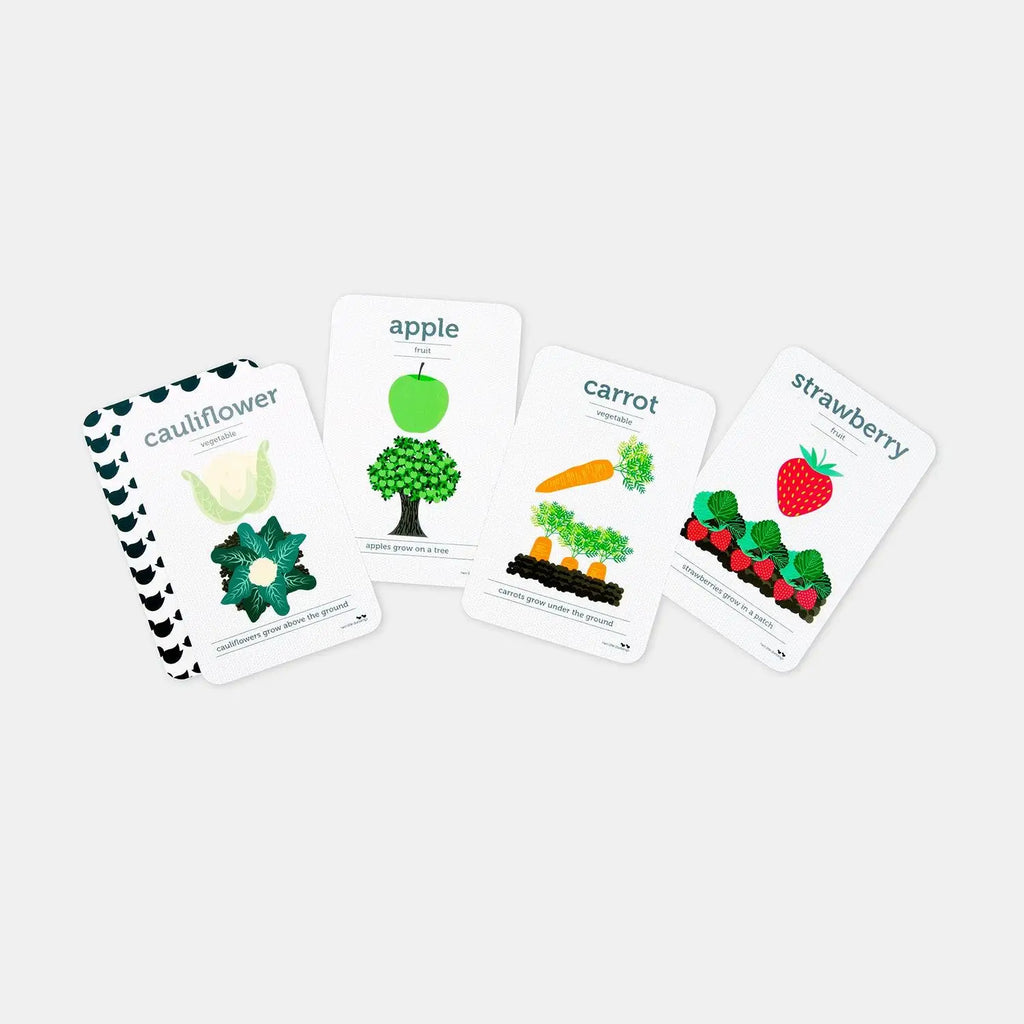 Set of illustrated flashcards featuring different fruits and vegetables.