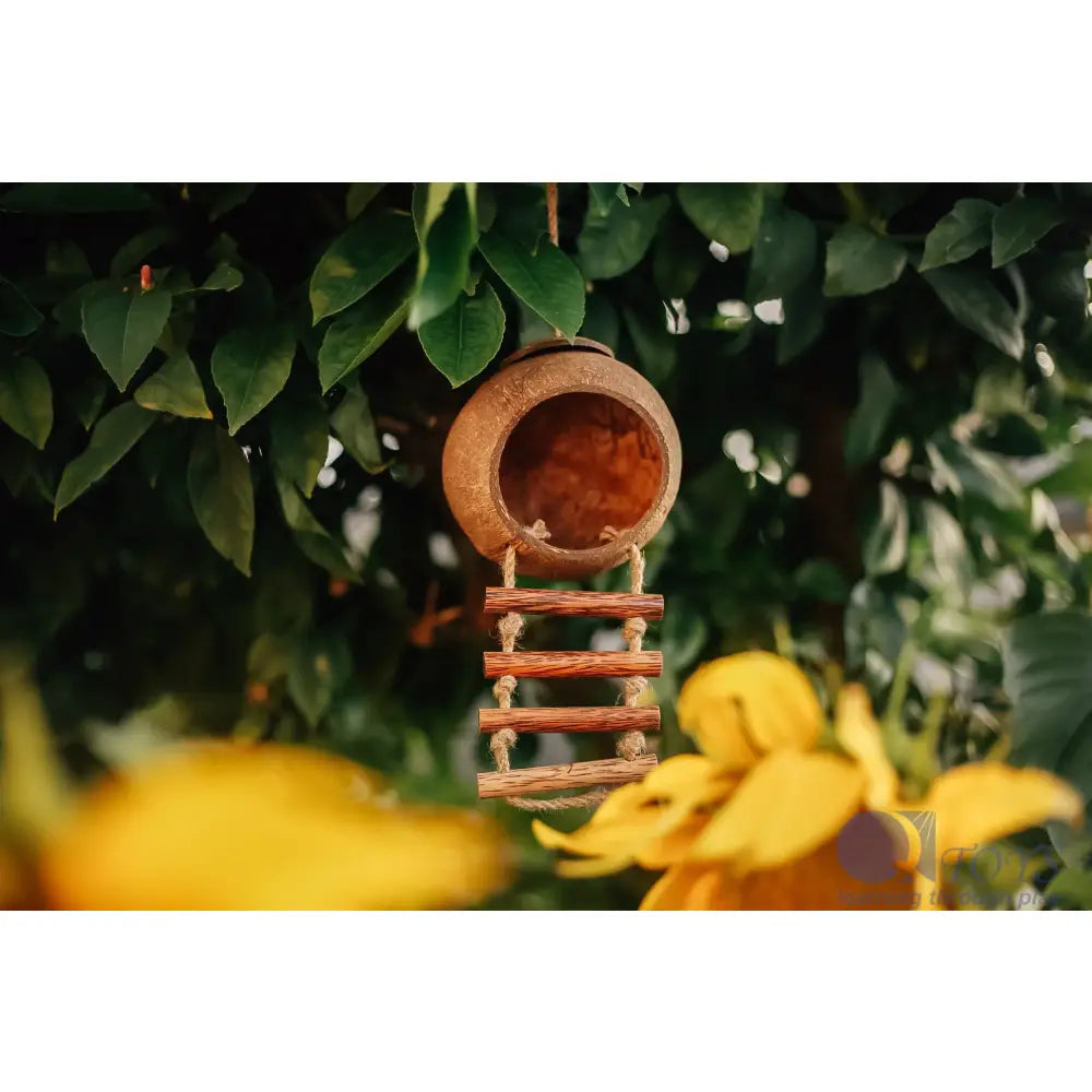 Wooden birdhouse with a circular entrance and ladder-like perch.