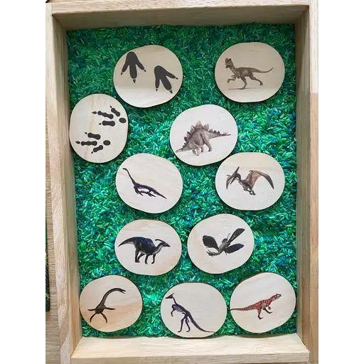 Wooden frame containing circular discs with dinosaur silhouettes on a green background.