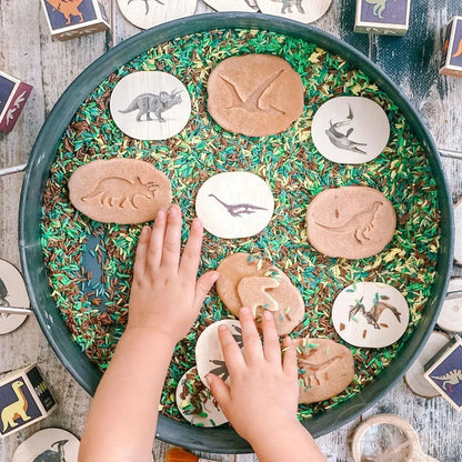 Circular tray filled with dinosaur-themed cookies and green sprinkles, with hands reaching for the cookies.