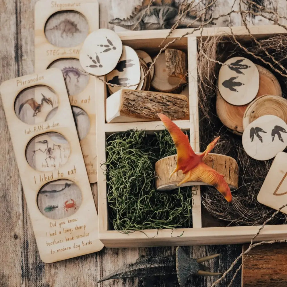 Wooden box filled with nature-themed items including discs with leaf prints, moss, twigs, and a small orange bird figurine.