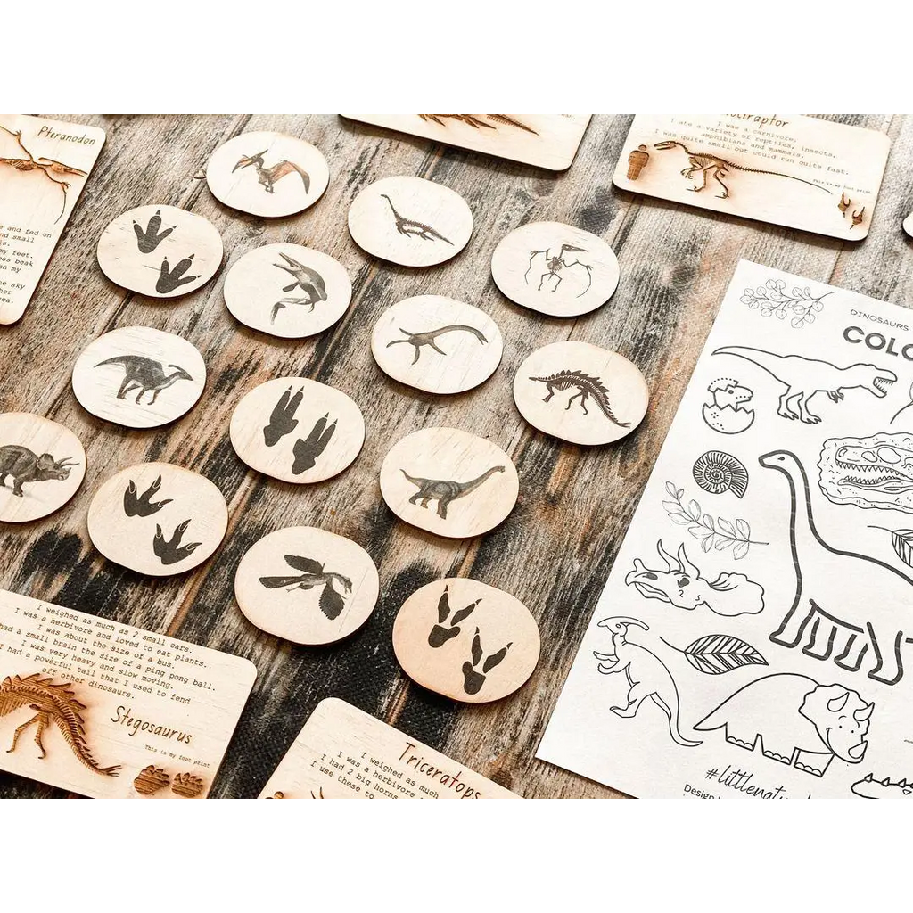 Collection of wooden discs with dinosaur silhouettes carved or burned onto them, alongside dinosaur-themed cards and drawings.