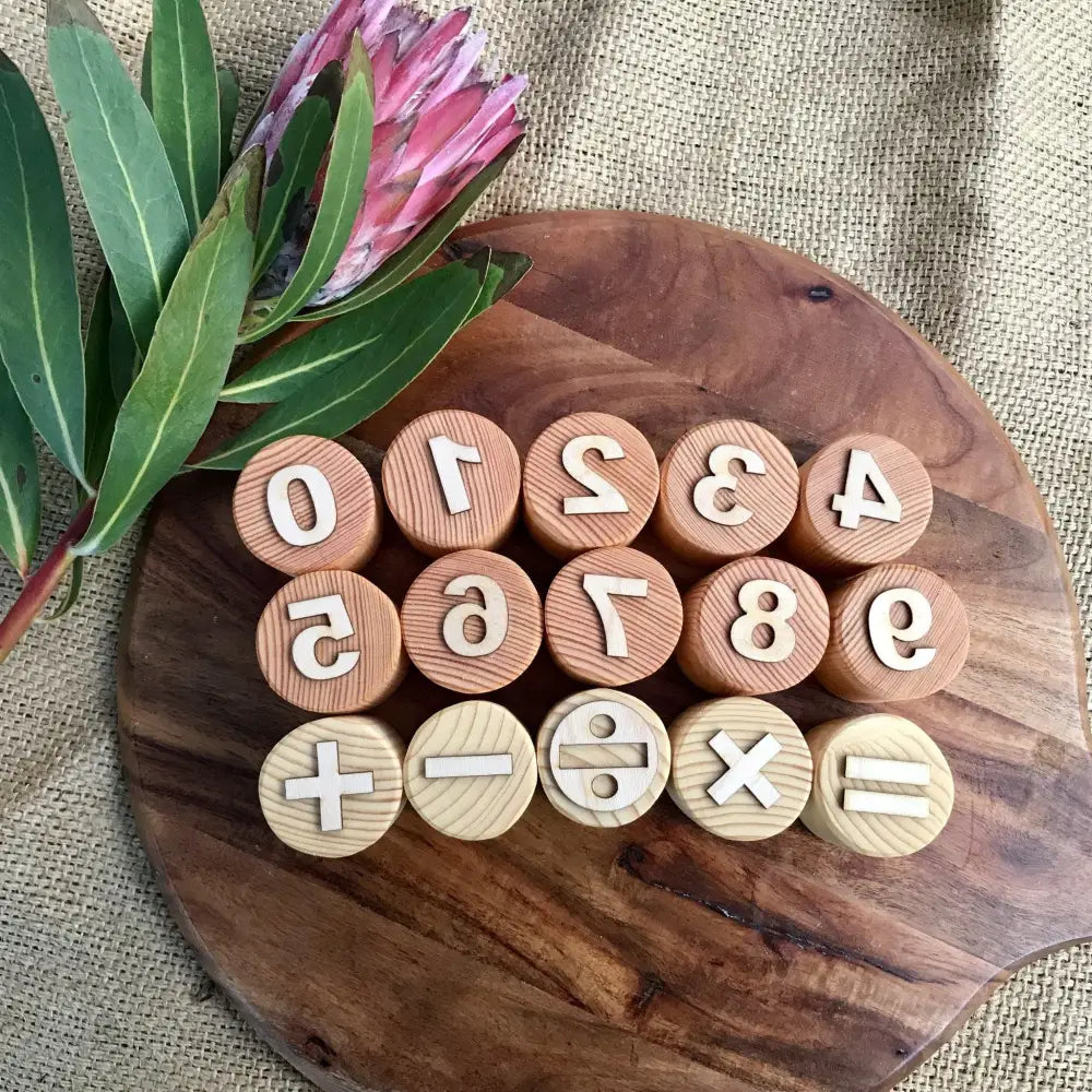 Wooden circular discs with numbers and mathematical symbols engraved on them, arranged on a wooden board next to a pink protea flower.