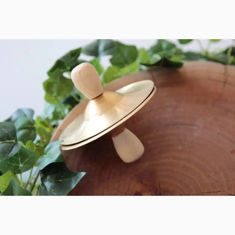Wooden spinning top with a metallic gold-colored disc.