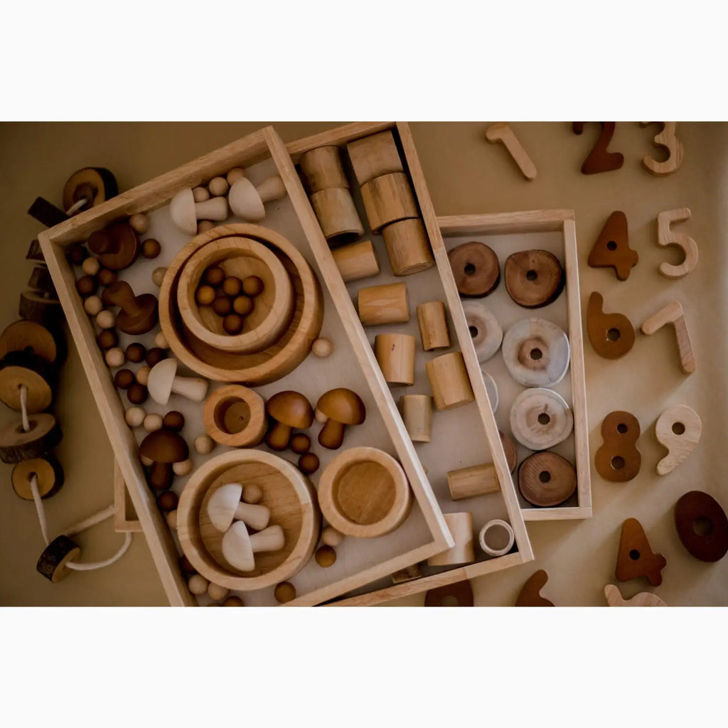 Wooden Montessori toy set.