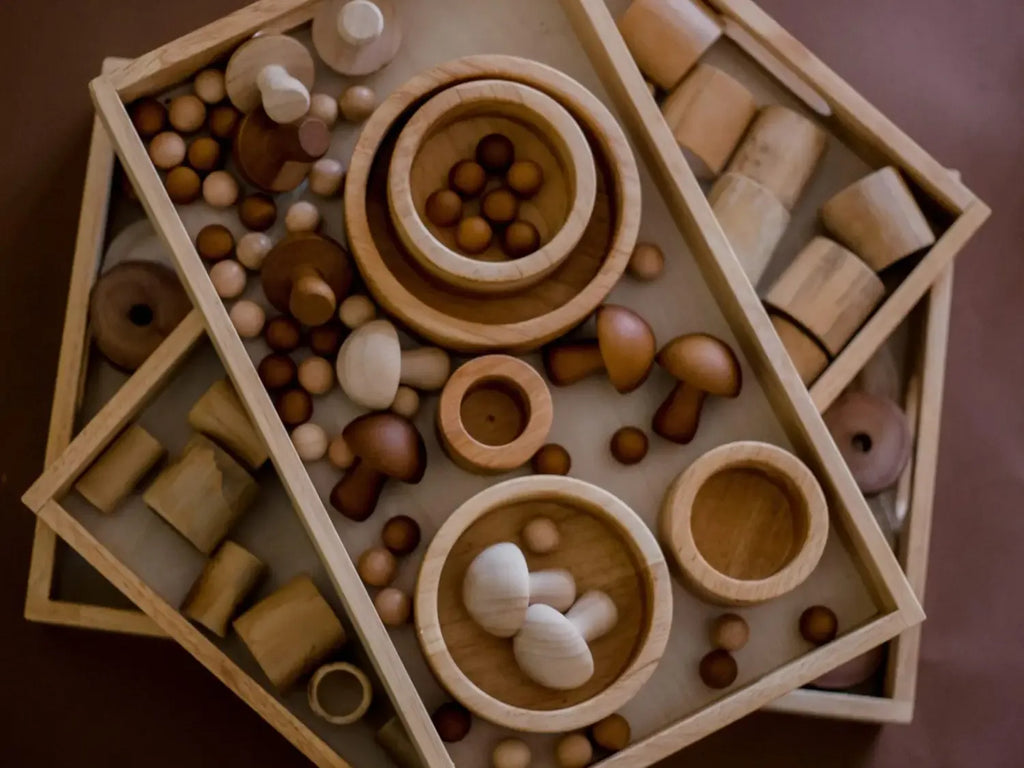 Wooden Montessori toy set.