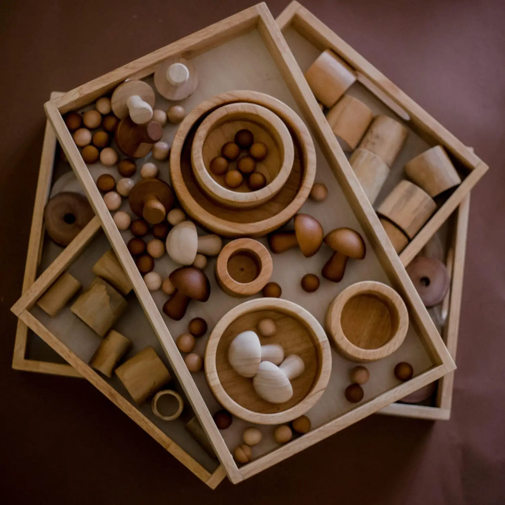 Wooden Montessori toy set.