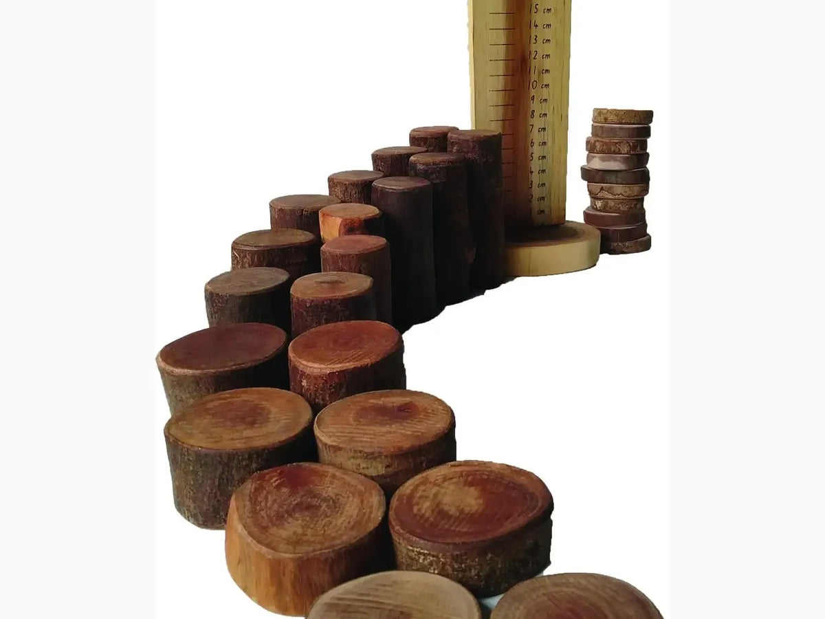 Wooden stacking toy with varying sized discs.