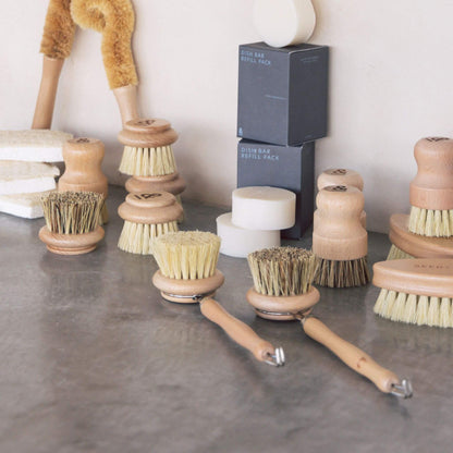 Seed and Sprout Dish Brush Beechwood