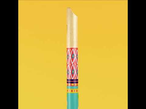 Djeco DJ6010 - Animambo Recorder
