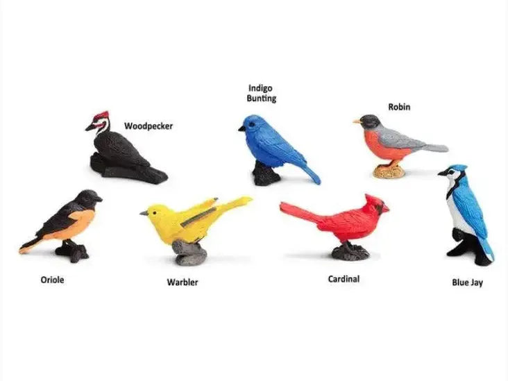 Collection of colorful toy bird figurines representing different species, labeled with their names.