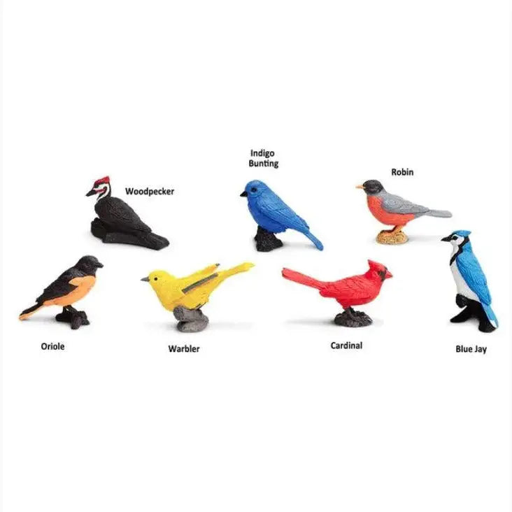 Collection of colorful toy bird figurines representing different species, labeled with their names.