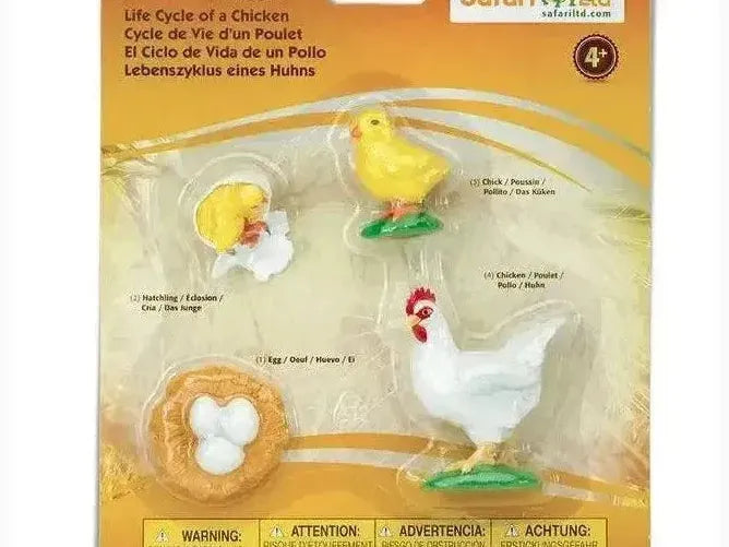 Educational toy set showing the life cycle of a chicken, from egg to adult.