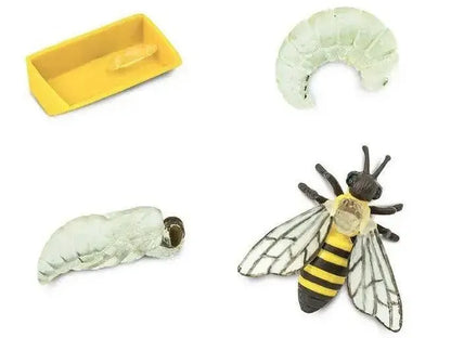 Realistic toy model of a honey bee with detailed wings and body segments.