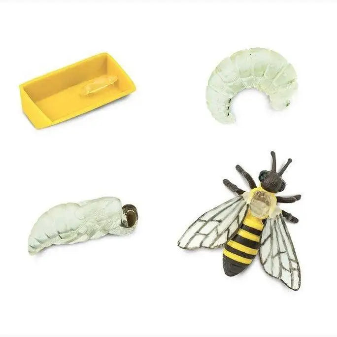 Realistic toy model of a honey bee with detailed wings and body segments.