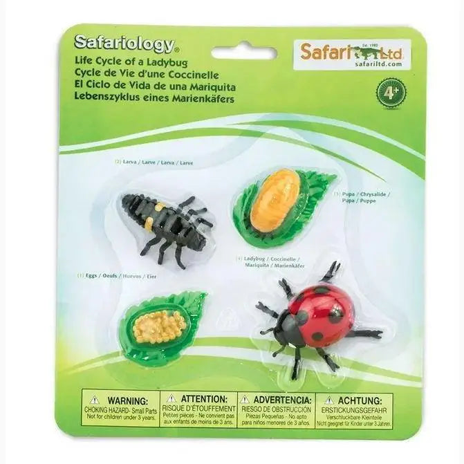 Educational toy set showing the life cycle stages of a ladybug.