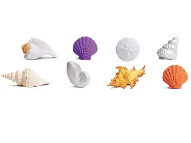 Collection of various seashells and marine objects arranged in a row.