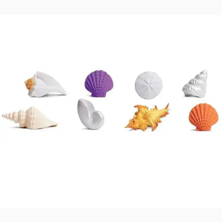 Collection of various seashells and marine objects arranged in a row.