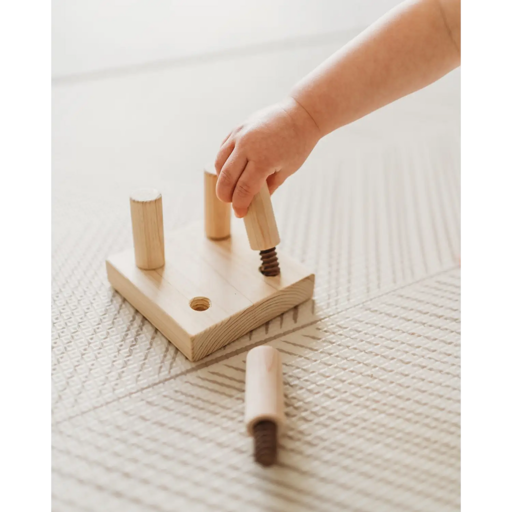 Wooden toy with pegs and screw.